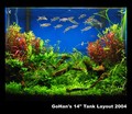 GoHan 14" Aquarium