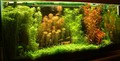 aquarium3