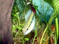 DSC00268