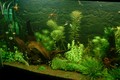 Dscf0013