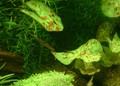 Dscf0016