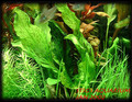 Dscf0009