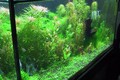 0831tank 006