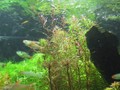 Resize of 0831tank 037