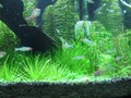 Resize of 0831tank 040