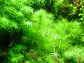 DSCN0739