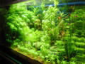DSCN0747
