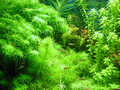 DSCN0748