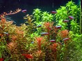 DSCN0681.640