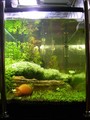 Dscn3811_800
