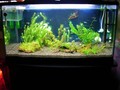 tank02