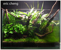 1.My Paludarium