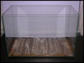 DSCN2704