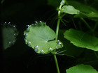 Pict0034
