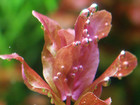 Pict0027