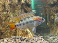 102_0293_IMG.jpg