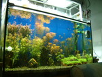 DSCF0067