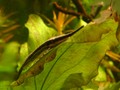 02020024_G.jpg