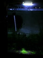 DSCN5126