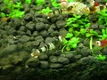 DSCN7141