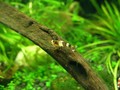 DSCN7197