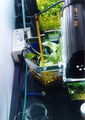 Home made filter in the working mode. I use house plant in the filter to use up the excess nutrients.