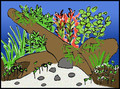 New plan drawing