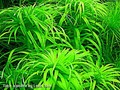 DSCF0043