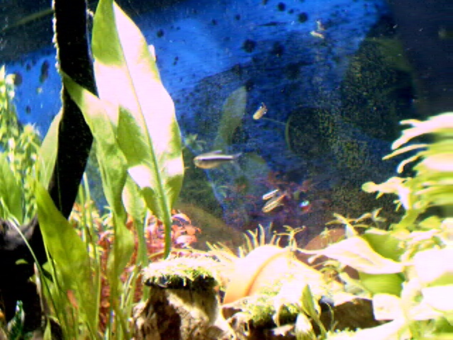 Pict0017
