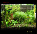 tank_120302