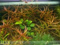 Image00004