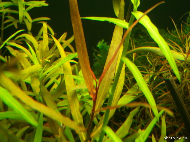 Image00010