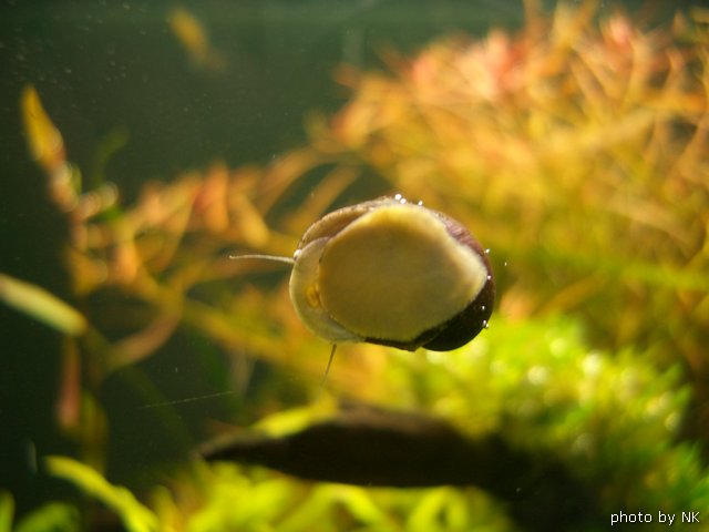 Image00051