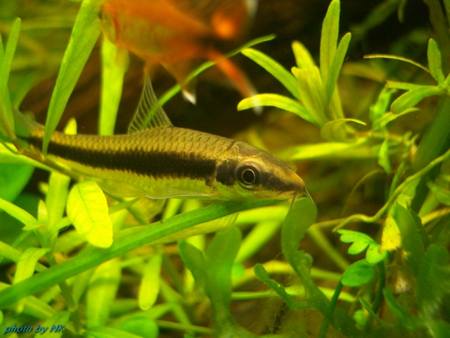 Image00015