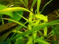 Image00017