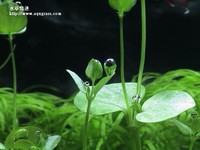 020329-11