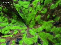 020315-08