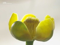 010126-02B