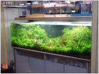 aquafeel-02