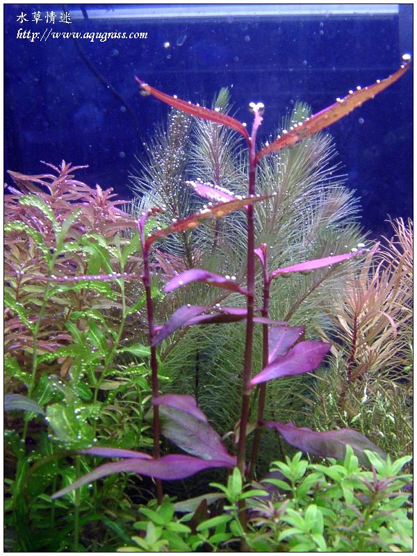 aquafeel-10
