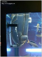 aquafeel-13