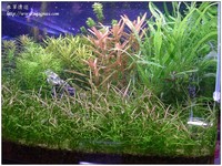 aquafeel-20