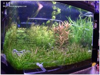 aquafeel-21