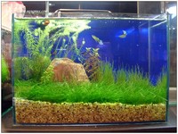 aquafeel-39