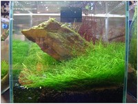 aquafeel-40