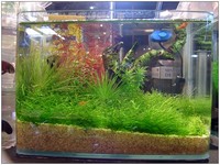 aquafeel-41